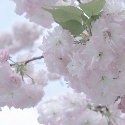 天津福瑞交流群